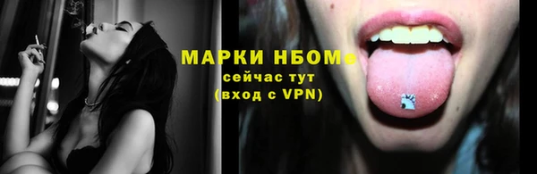 PSILOCYBIN Алзамай